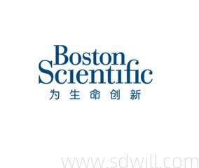 美国波士顿科学依维莫司洗脱冠状动脉支架系统H7493918412220